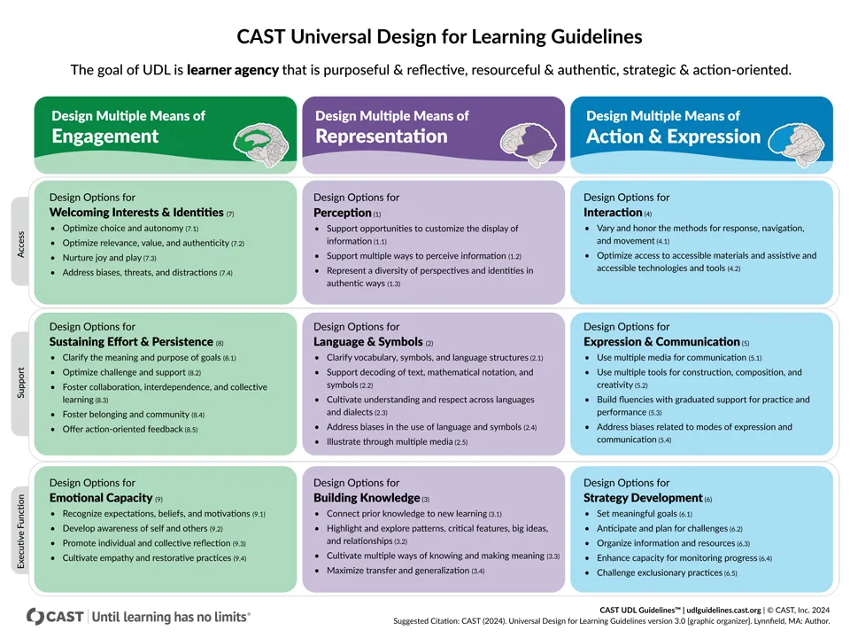 CAST Universal Design for Learning Guidelines