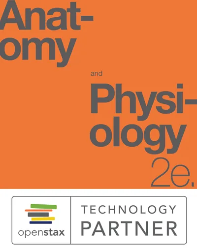 openstax anatomy_and_physiology_2e audiobook by audileo
